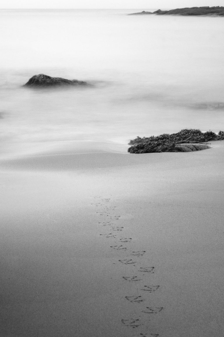 ND1000 filter